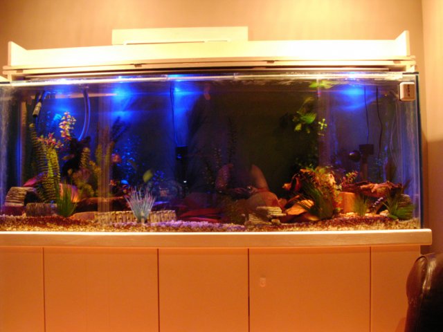 2007_0330_204328AA.JPG