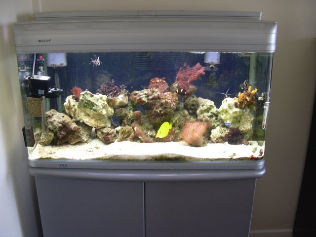 fish 013.jpg