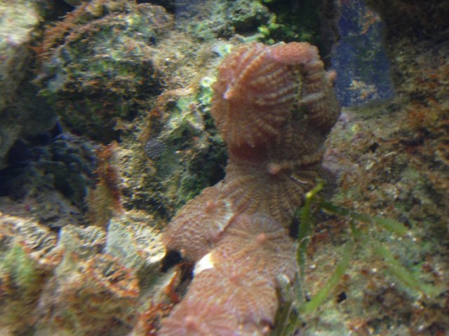 fish 018.jpg