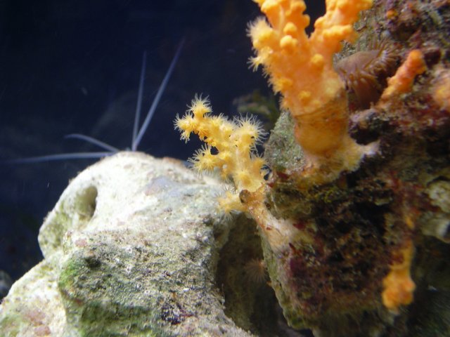 fish 022.jpg