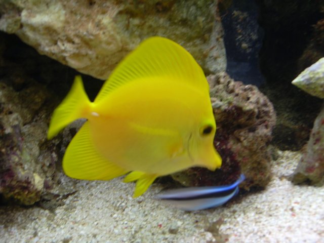 fish 031.jpg