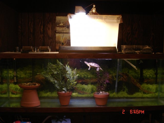 Vern 019.jpg
