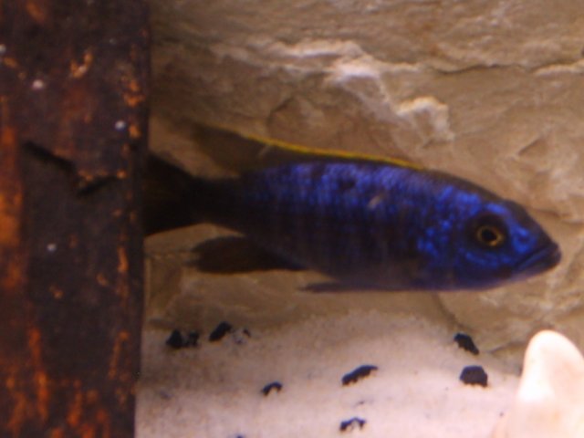 S8001661.JPG