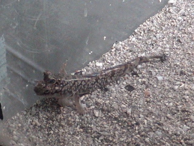 DSC01329.JPG DSC01329.JPG