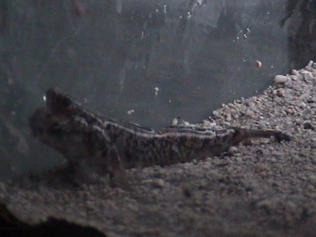 DSC01330.JPG DSC01330.JPG