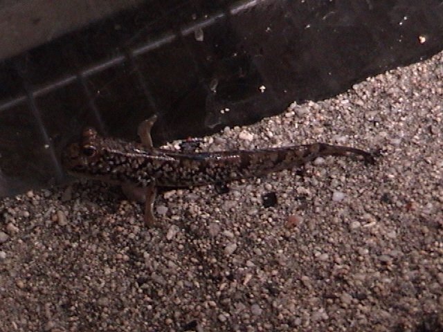 DSC01331.JPG DSC01331.JPG