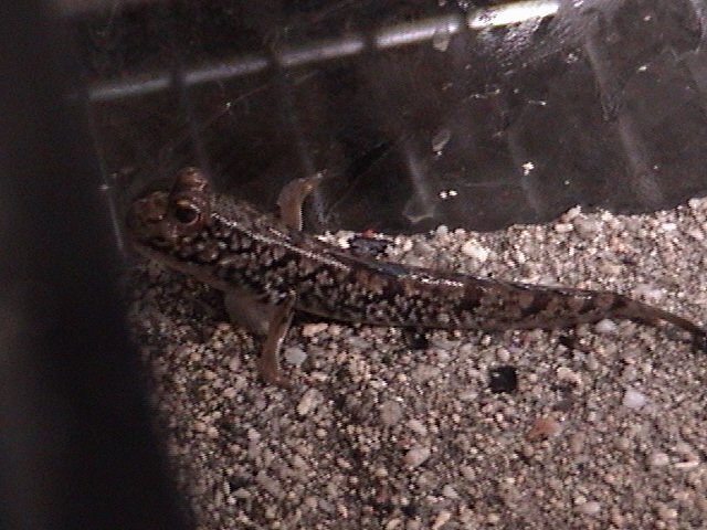 DSC01332.JPG DSC01332.JPG