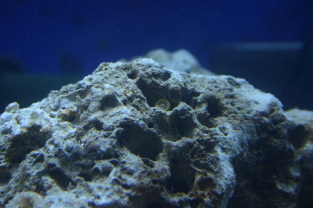 IMG_4025.JPG
