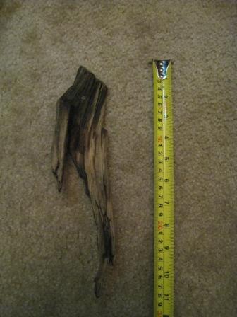 Driftwood #1.JPG