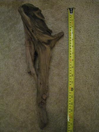 Driftwood #2.JPG