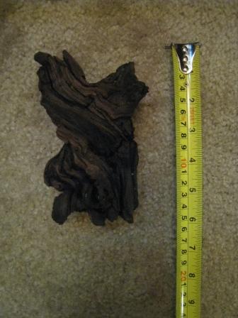Driftwood #3.JPG
