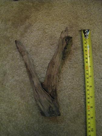 Driftwood #5.JPG