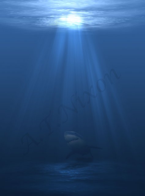 underwater_shark.jpg