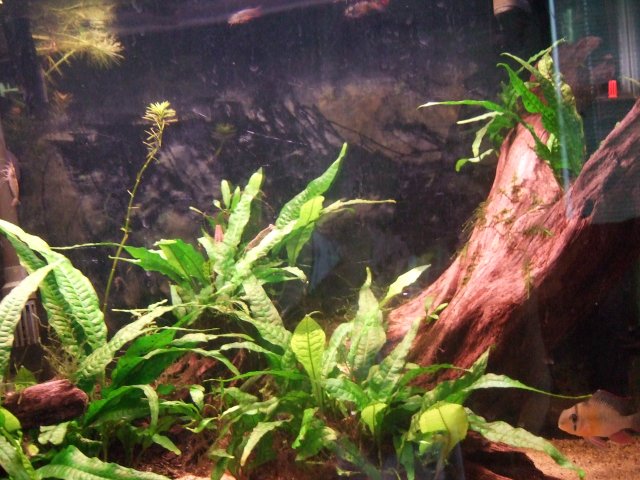 DSCF3656.JPG
