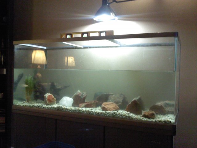 80G-2.jpg