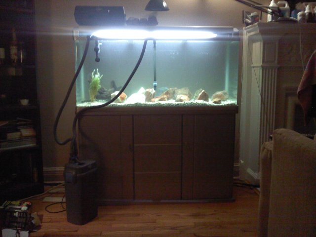 80G-3.jpg