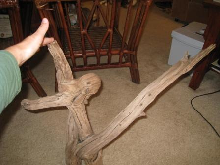 XL Driftwood 3.JPG