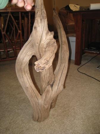XL Driftwood 6.JPG