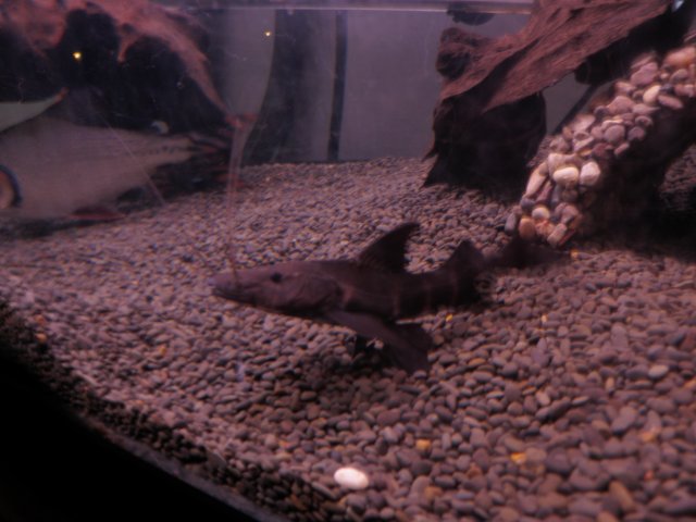 Picture 080.jpg