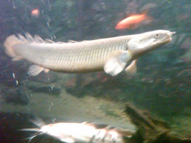 IMG00138-20100722-0204.jpg IMG00138-20100722-0204.jpg