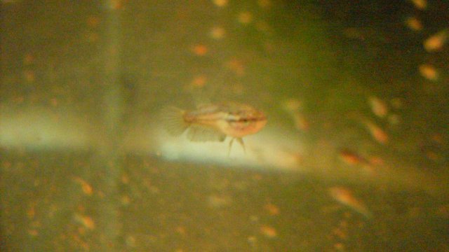 SDC12031.JPG