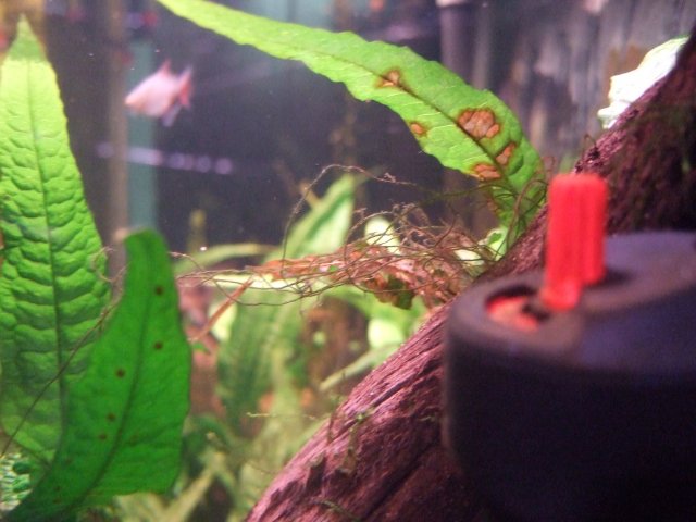 DSCF3700.JPG
