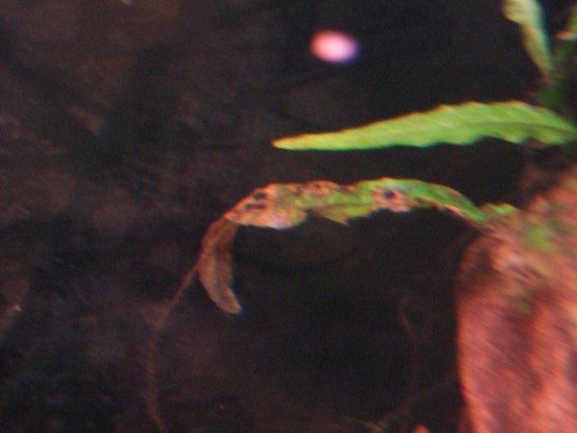DSCF3702.JPG
