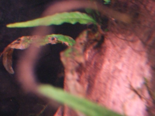 DSCF3703.JPG