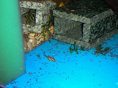 DSCN6064.JPG