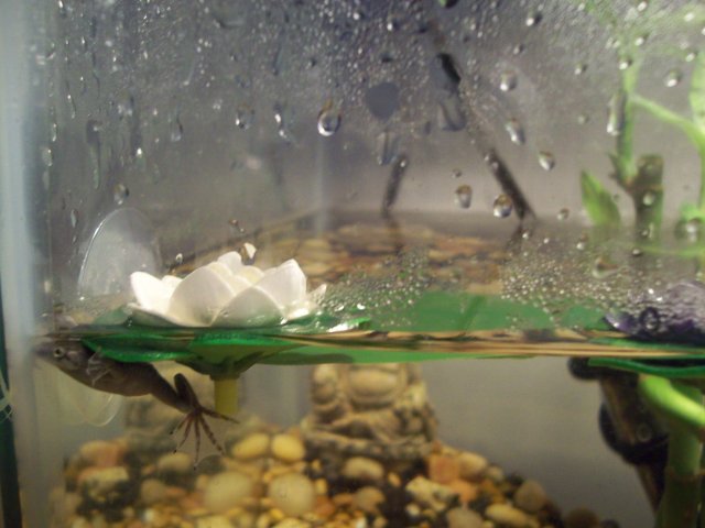 100_4946.JPG