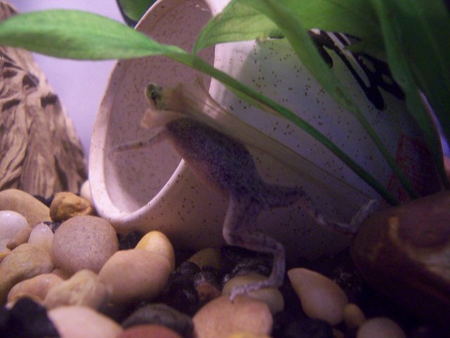100_4957.JPG