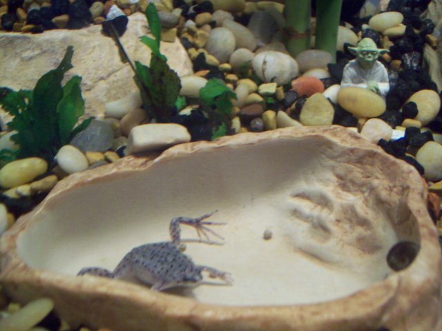 100_4943.JPG
