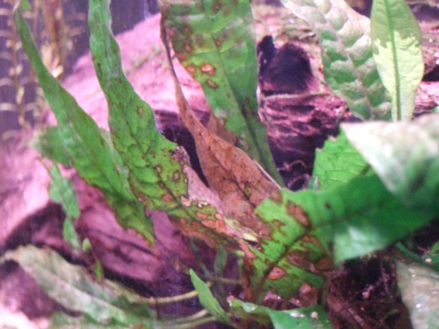 DSCF3706.JPG