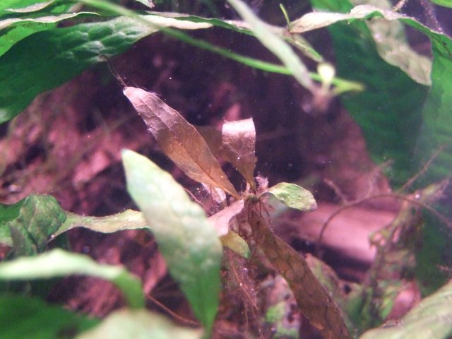 DSCF3707.JPG