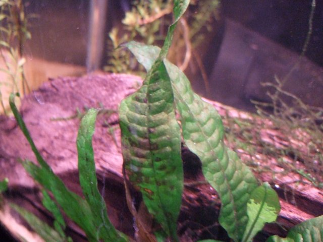 DSCF3714.JPG