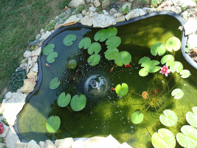 DSC08490.JPG