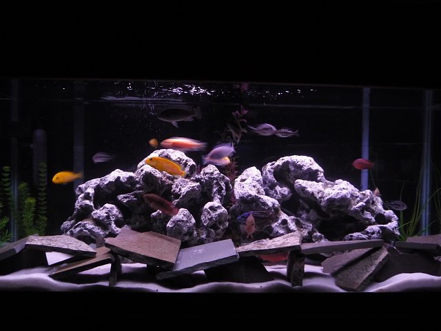 P1020833.JPG P1020833.JPG