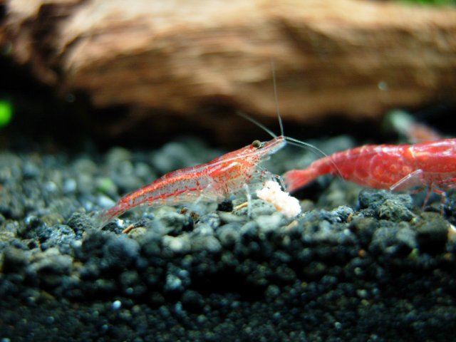 DSCN2484.JPG