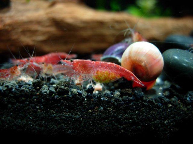 DSCN2554.JPG