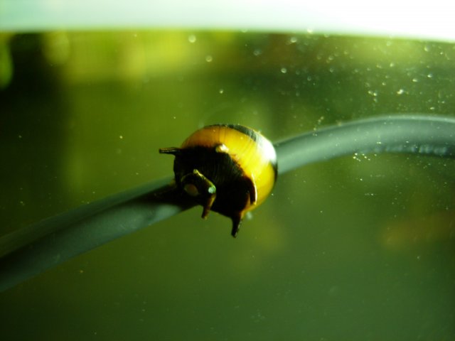 DSCN1251.JPG