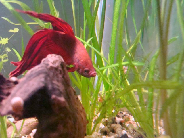 07-29-10 024.jpg