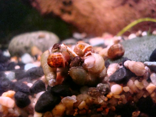 07-29-10 023.jpg