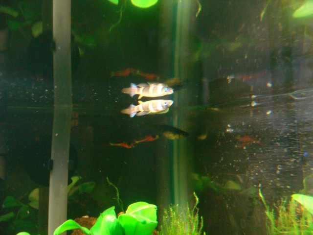 07-29-10 060.jpg