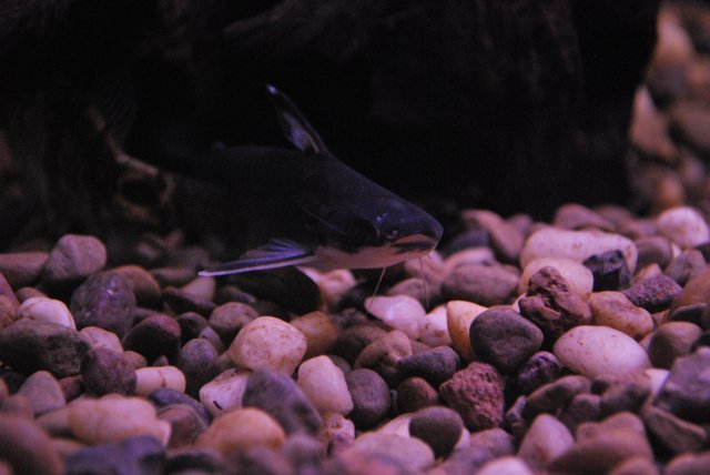 DSC_0796.JPG