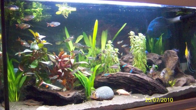 100_2250_00.jpg