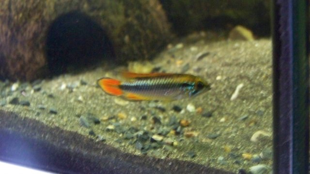 100_2080_00.jpg
