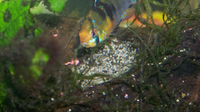 100_2032.jpg