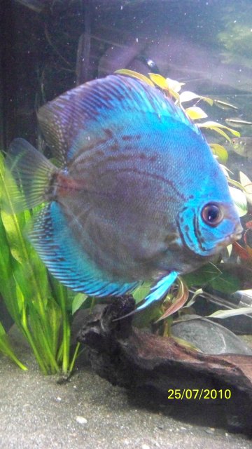 100_2237_00.jpg