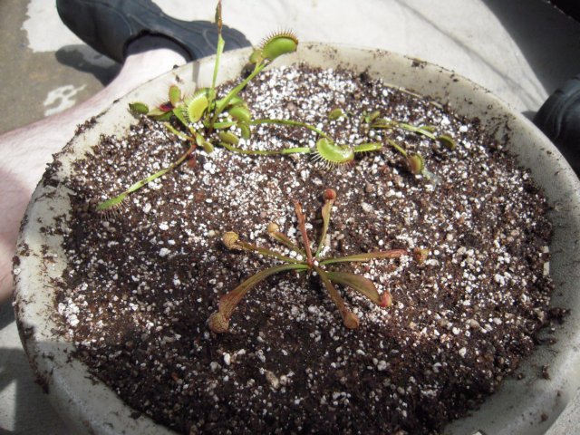 DSCN2548.JPG