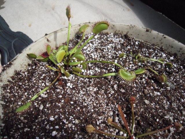 DSCN2551.JPG